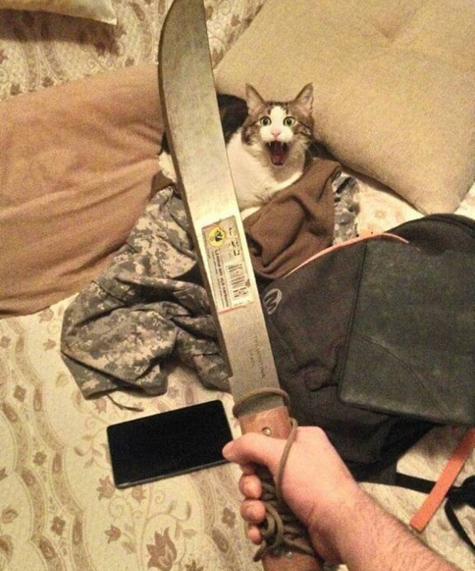 if you see this, something went wrong.